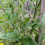 PHOTO-2020-07-07-19-38-48