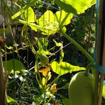 PHOTO-2020-07-08-10-08-19