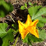 PHOTO-2020-07-08-10-09-17