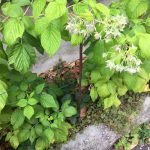 PHOTO-2020-07-15-19-02-00 (1)