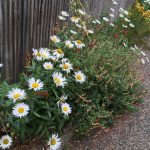 PHOTO-2020-07-15-19-02-00