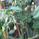 PHOTO-2020-07-15-19-02-00 (2)