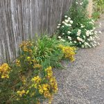 PHOTO-2020-07-15-19-02-00 (3)