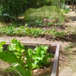 PHOTO-2020-07-25-13-35-03