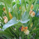 PHOTO-2020-08-05-18-28-06