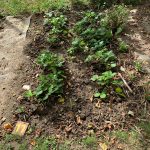 PHOTO-2020-08-21-15-44-54 (1)