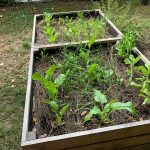 PHOTO-2020-08-21-15-44-54