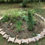 PHOTO-2020-08-21-15-44-54 (2)