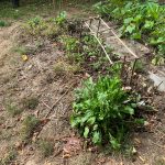 PHOTO-2020-08-21-15-44-55 (1)