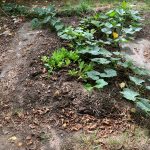 PHOTO-2020-08-21-15-44-55