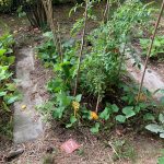 PHOTO-2020-08-21-15-44-55 (5)