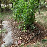 PHOTO-2020-08-21-15-44-56 (1)