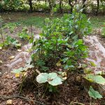 PHOTO-2020-08-21-15-44-56