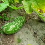 PHOTO-2020-08-29-21-26-10