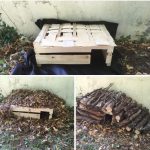 PHOTO-2020-09-21-22-40-41