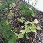 PHOTO-2020-09-25-19-07-51