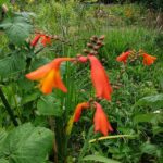 PHOTO-2021-08-22-17-41-32