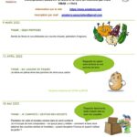 Programme atelier enfant 1