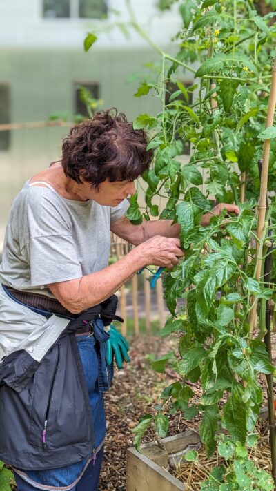 Recherche de Jardinier Bénévole