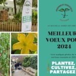 La-nouvelle-annee-EST-arrivEe-1